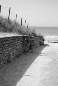 a bike parked next to a wall on the beach at Hôtel Restaurant & Spa Plaisir in Le Bois-Plage-en-Ré
