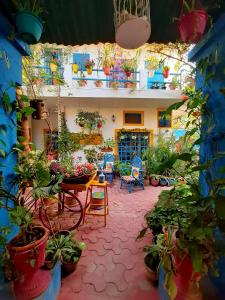 um quarto com vasos de plantas e uma mesa e cadeiras em The Coral House Homestay by the Taj em Agra