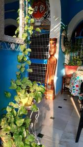 The Coral House Homestay by the Taj的休息区