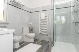 W łazience znajduje się toaleta i przeszklony prysznic. w obiekcie Beachfront Holiday House Kaliope w mieście Brgulje +20 zdjęć