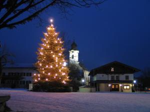 a christmas tree with lights in front of a building at Ferienwohnung Hell Claudia in Schleching