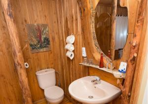 ein Badezimmer mit Waschbecken, Toilette und Spiegel in der Unterkunft El Corralon in Casavieja + 45 Fotos