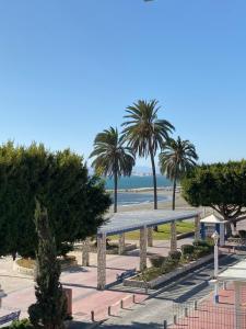 vistas a una playa con palmeras y al océano en Casa Carmen Ático Primera linea de playa en Málaga