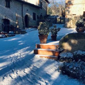 Agriturismo Camiano Piccolo v zime