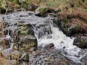 Náttúran í nágrenni hótelsins
