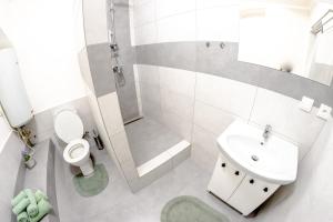 a bathroom with a shower toilet and a sink at Pilsen apartment in Pilsen