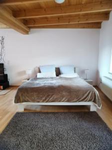 Cama o camas de una habitación en Charming 2-Room Apartment lakenear FeWo am See