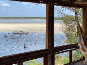 a window view of a group of flamingos in the water at Awatawaa Ecolodge in La Punta de los Remedios