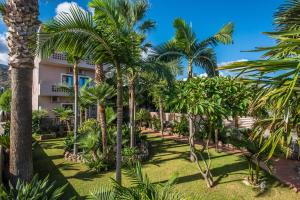 a resort with palm trees in front of it at Villa Sonia by Estia Adults Only in Malia