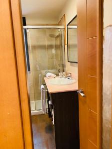 a bathroom with a sink and a shower at Hotel Don Pablo in Villasana de Mena