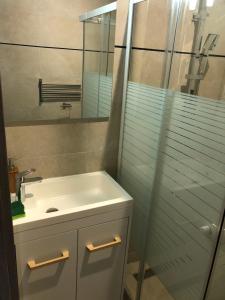 y baño con lavabo y ducha acristalada. en Appartement avec SPA Camargue 4 couchages en Saint-Laurent-dʼAigouze
