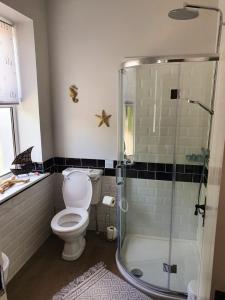 a bathroom with a toilet and a glass shower at The Mulberrys B&B in Downpatrick