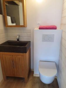 La salle de bains est pourvue de toilettes, d'un lavabo et d'un miroir. dans l'établissement Angers Green Lodge - Cosy Studio, à Angers