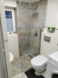 W łazience znajduje się toaleta i przeszklony prysznic. w obiekcie Apartament ALPa Kudowa Zdrój w Kudowie Zdroju