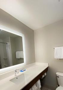 La salle de bains est pourvue d'un lavabo, d'un miroir et de toilettes. dans l'établissement Holiday Inn Express Quantico - Stafford, an IHG Hotel, à Stafford