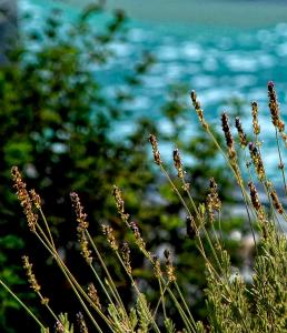 Fotografia z galérie ubytovania Olivemare v destinácii Katelios