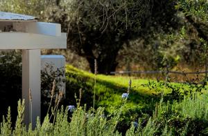Fotografia z galérie ubytovania Olivemare v destinácii Katelios