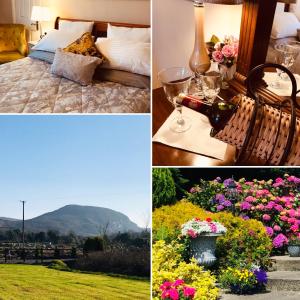 un collage di foto di una camera d'albergo con letto e fiori di Hillcrest farmhouse Bed & Breakfast a Boyhollagh