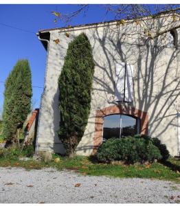 un edificio blanco con una ventana y dos arbustos en Duplex de L'Artisterie, en Mondonville