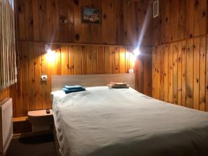 a bedroom with a bed with wooden walls and lights at Apartment complex in Sumy