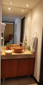 a bathroom counter with a sink and a mirror at Belgrano Apartment con cochera in Mendoza