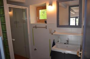 ein Bad mit einem Waschbecken, einem Spiegel und einer Dusche in der Unterkunft A la maison - épp mint otthon in Szentbékkálla