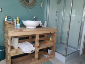 a bathroom with a sink and a shower at Chambre à Villemandeur Chez L'habitant in Villemandeur