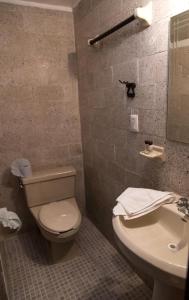 a bathroom with a toilet and a sink at Hotel D&rsquo;Monica in San Crist&oacute;bal de Las Casas