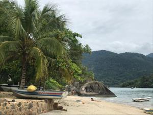 ein Boot am Strand mit einer Palme in der Unterkunft Para-ti e para-mim! Para todos nós! in Paraty