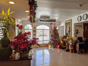 a room with a christmas tree in the middle at Hotel San Jorge in San Juan