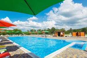 a large swimming pool with chairs and umbrellas at Shishkinn Resort&Spa in Snov'yanka