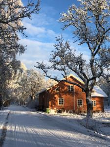 une maison en bois dans la neige avec un arbre dans l'établissement Kvarnen i Borgvik, à Borgvik