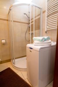 Kúpeľňa v ubytovaní Apartamenty Świnoujście - Rezydencja Sienkiewicza + 37 fotografií