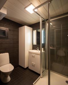 een badkamer met een toilet, een wastafel en een douche bij Ukkohalla Sky Cabin Glass Suite in Hyrynsalmi