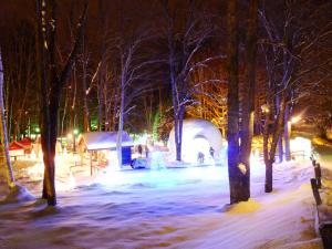 a park covered in snow at night with trees at Shin Furano Prince Hotel in Furano