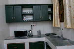 een keuken met groene kasten, een wastafel en een magnetron bij Seguku Katale Apartment 2 in Kampala