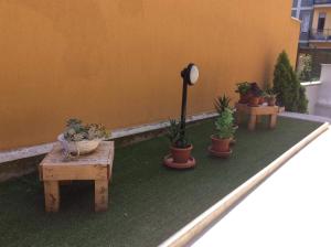 Zahrada ubytování Appartamento Piccola Perla
