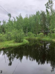 a view of a river with trees in the background at Lupiini in Savonlinna