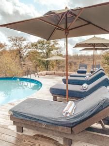 four lounge chairs with umbrellas next to a pool at Simbavati Trails Camp in Timbavati Game Reserve