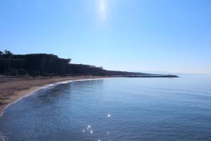 an aerial view of a beach with birds in the water at Hotel Massimo in Marina di Cecina