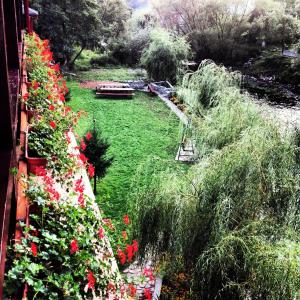 a garden with red and white flowers and a pond at Pension Cuibul Viselor in Băile Herculane