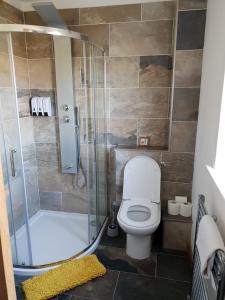 een badkamer met een toilet en een douche bij The Ship Inn in Invergordon