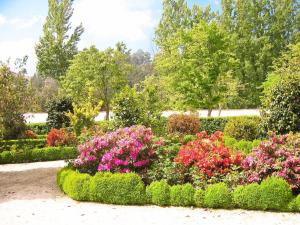 Jardín al aire libre en Casa de Lamas