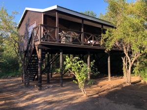a tree house on wooden posts in the woods at Luxury Treetop Lodge in Marloth Park