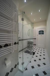 uma casa de banho com uma cabina de duche em vidro e um WC. em Duży apartament - cichy zakątek na Starówce em Poznań