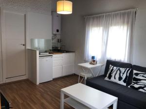 ein Wohnzimmer mit einem Sofa und einer Küche in der Unterkunft ESTUDIO MAESO in Manzanares el Real