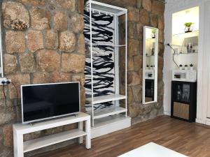 a living room with a tv and a stone wall at ESTUDIO MAESO in Manzanares el Real