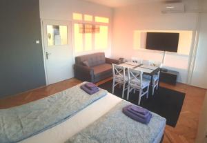 Televízia a/alebo spoločenská miestnosť v ubytovaní Bálint Apartman - In the heart of Miskolc