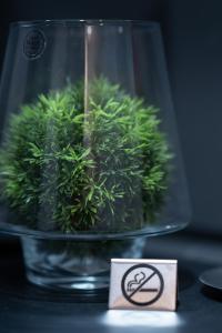 Gallery image of Elysium Residence in Timişoara +56 photos