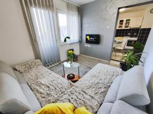 Μια τηλεόραση ή/και κέντρο ψυχαγωγίας στο Apartman ISKRA